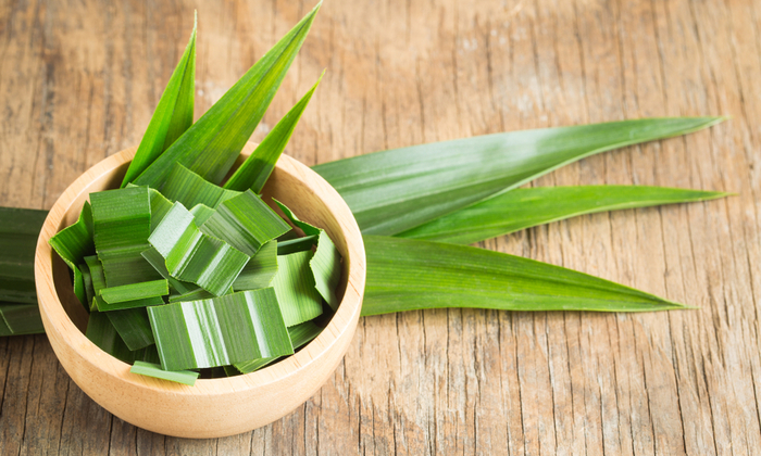 ใบเตย ประโยชน์ต่อสุขภาพ