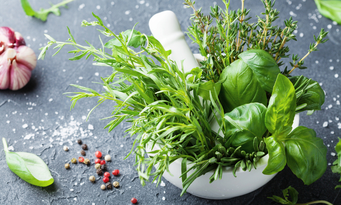 สมุนไพร ประโยชน์และข้อควรระวังในการบริโภค