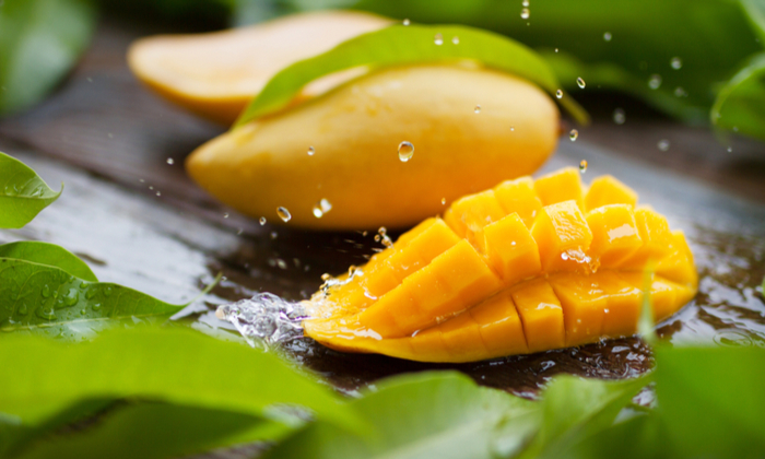 มะม่วง ประโยชน์และข้อควรระวังในการบริโภค