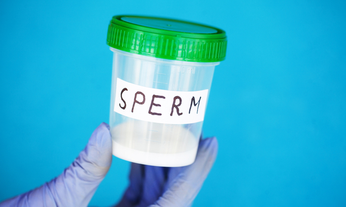 อสุจิอยู่ได้กี่วัน และเคล็ดลับการเพิ่มคุณภาพของอสุจิ