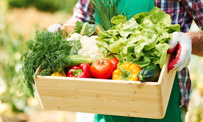 5 สมุนไพร แก้เบาหวาน และข้อควรระวังในการบริโภค