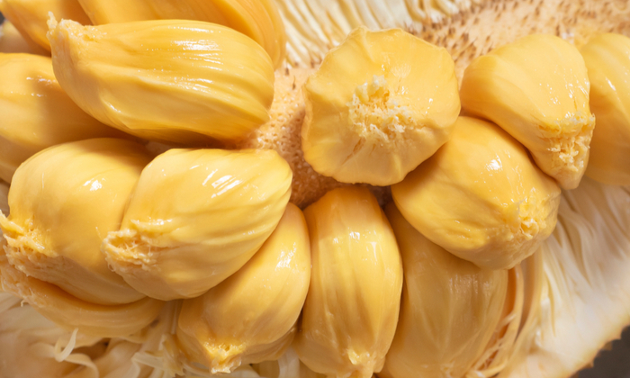 จำปาดะ ประโยชน์และข้อควรระวังในการบริโภค 