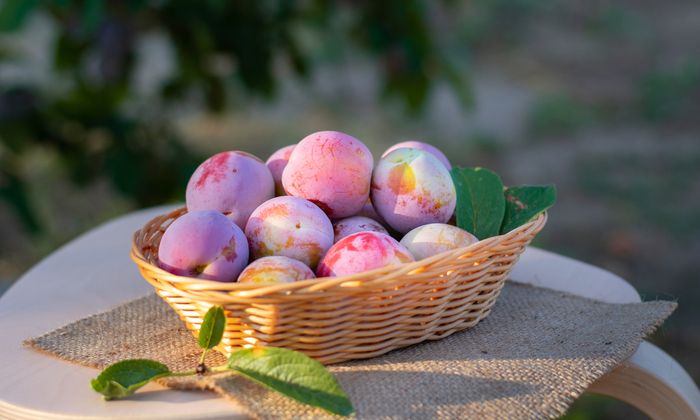 ลูกไหน ประโยชน์และข้อควรระวังในการบริโภค