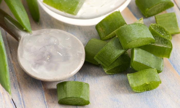 ว่านหางจระเข้ สมุนไพรที่มีประโยชน์ต่อสุขภาพ