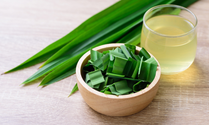 น้ำใบเตย ประโยชน์ ข้อควรระวังในการบริโภค และวิธีทำง่ายๆ