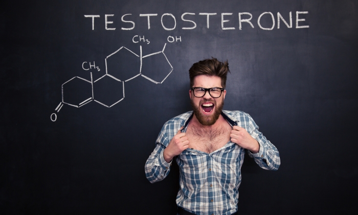 ฮอร์โมนเทสโทสเตอโรน หน้าที่และความสำคัญต่อร่างกาย