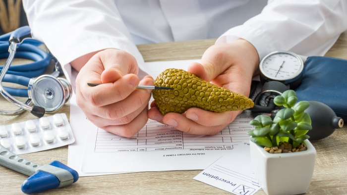 ตับอ่อน หน้าที่ มีอะไรบ้าง และเกี่ยวข้องอย่างไรกับระดับน้ำตาลในเลือด