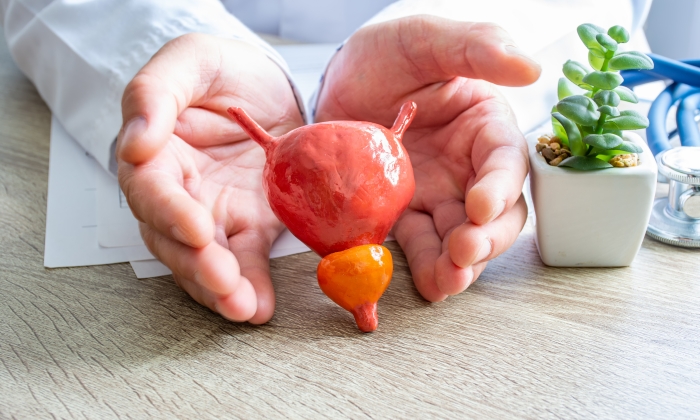 ต่อมลูกหมากมีความสำคัญอย่างไร เรื่องของอวัยวะภายในที่ผู้ชายควรรู้