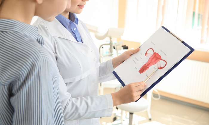 รังไข่ คืออะไร มีความสำคัญอย่างไรบ้าง