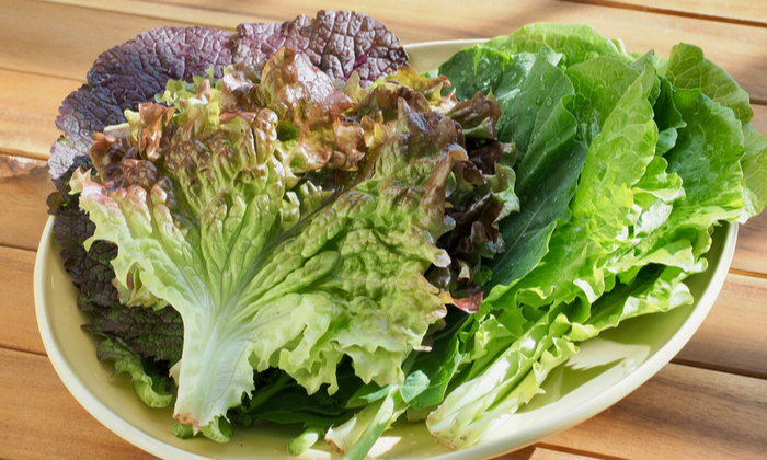 ผักกาดหอม ประโยชน์ ข้อควรระวังในการรับประทาน