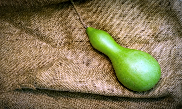 น้ำเต้า ประโยชน์ และข้อควรระวังในการบริโภค