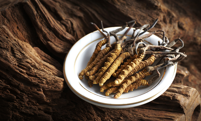 ถั่งเช่า คุณค่าทางโภชนาการและข้อควรระวังในการบริโภค