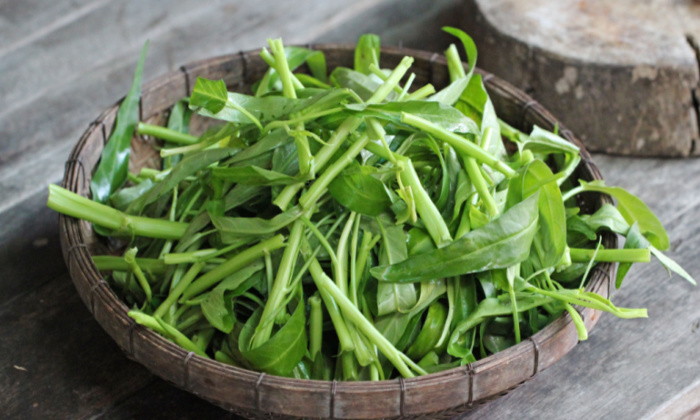 ผักบุ้ง ประโยชน์ต่อสุขภาพและข้อควรระวังในการบริโภค