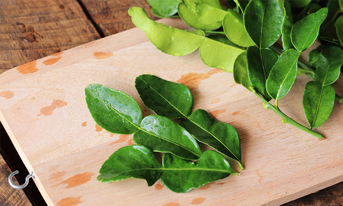 ใบมะกรูด ประโยชน์และข้อควรระวังในการบริโภค