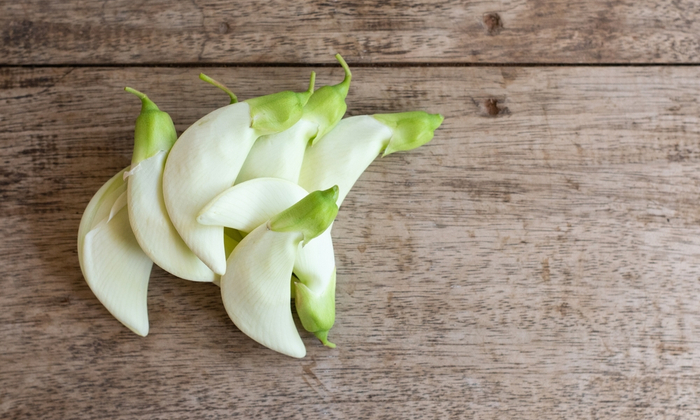 ดอกแค ประโยชน์และข้อควรระวังในการบริโภค