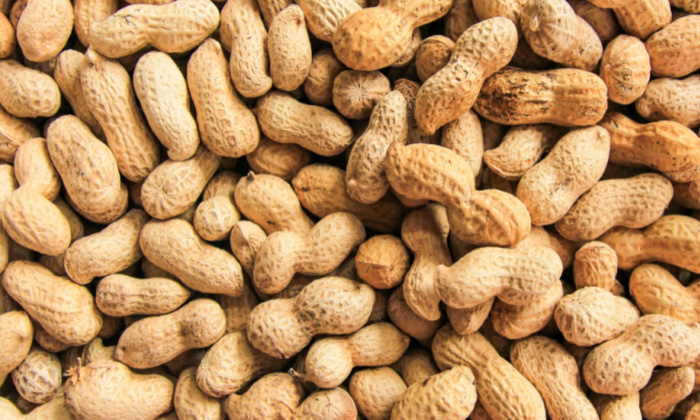 ถั่วลิสง ประโยชน์ต่อสุขภาพ และข้อควรระวังในการบริโภค