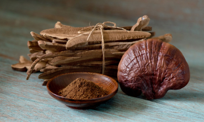 เห็ดหลินจือ ประโยชน์ และข้อควรระวังในการบริโภค