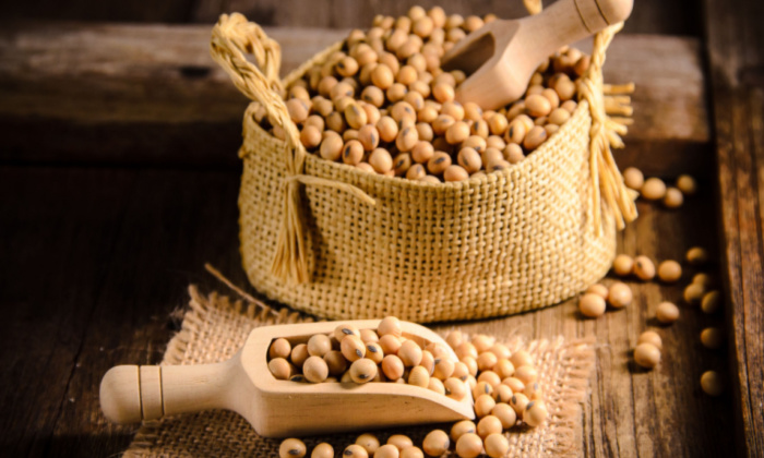 ถั่วเหลือง ประโยชน์ต่อสุขภาพ และข้อควรระวังในการบริโภค