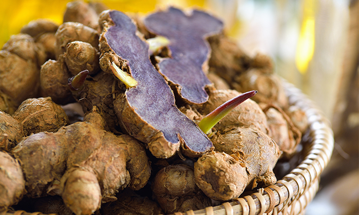 กระชายดำ ประโยชน์และข้อควรระวังในการบริโภค