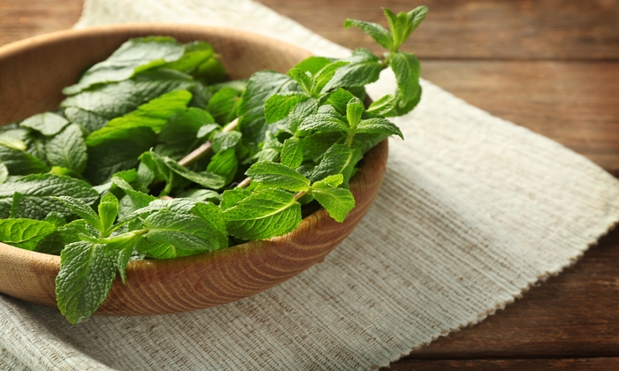 ใบสะระแหน่ ประโยชน์ และข้อควรระวังในการบริโภค