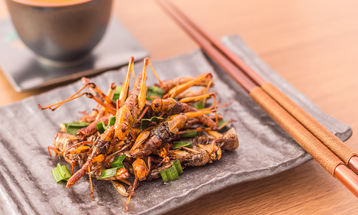 แมลงทอด ประโยชน์และข้อควรระวังในการบริโภค