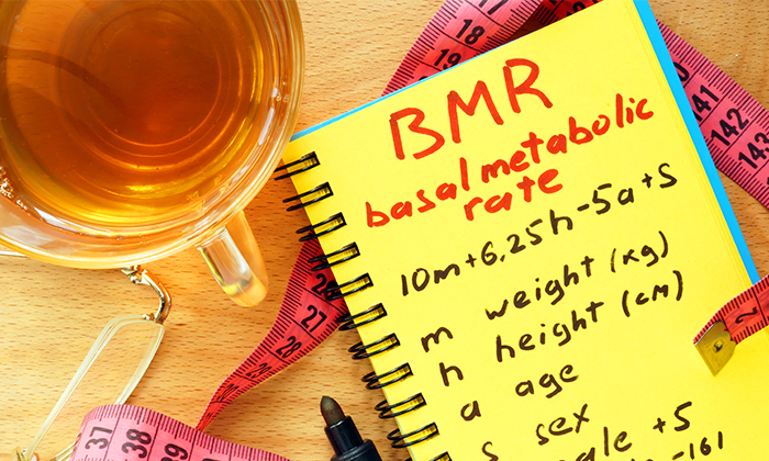 BMR เครื่องมือคำนวณการเผาผลาญพลังงาน