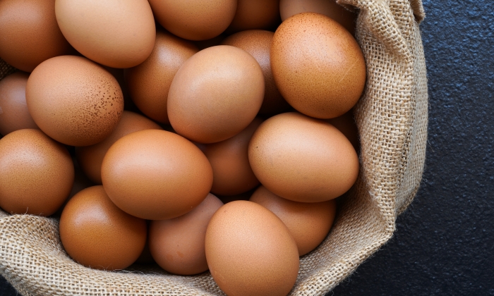 ไข่ไก่ ประโยชน์ และข้อควรระวังในการบริโภค