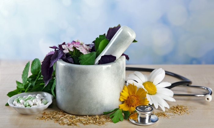 สมุนไพร แก้เบาหวาน สรรพคุณ มีอะไรบ้าง