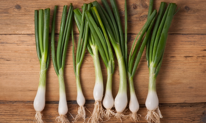 ต้นหอม โภชนาการ และข้อควรระวังในการบริโภค