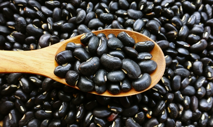ถั่วดำ ประโยชน์ และข้อควรระวังในการบริโภค
