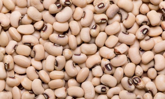 ถั่วขาว ประโยชน์ และข้อควรระวังในการบริโภค