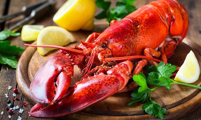 ล็อบสเตอร์ ประโยชน์และข้อควรระวังในการบริโภค