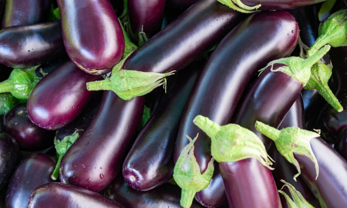 มะเขือม่วง ประโยชน์ และข้อควรระวังในการบริโภค