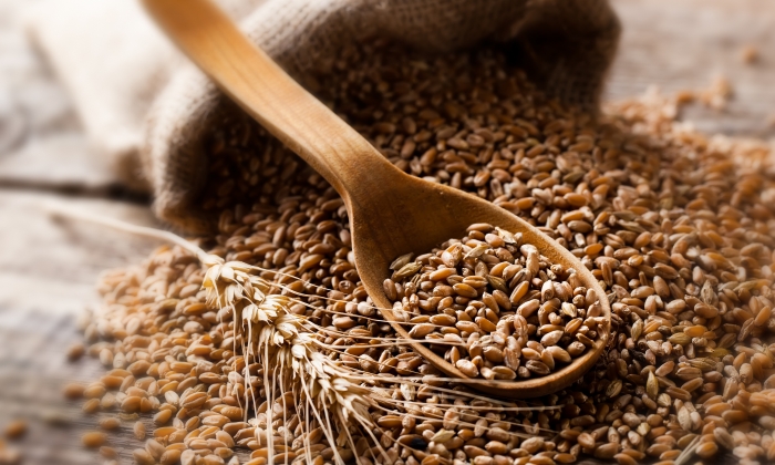 โฮลวีท ลดความอ้วน ได้หรือไม่ เพราะอะไร