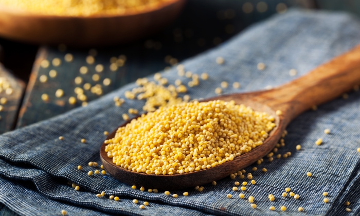 ข้าวฟ่าง ประโยชน์ และข้อควรระวังในการบริโภค