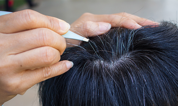 ถอนผมหงอก ดีหรือไม่ ควรดูแลเส้นผมอย่างไรเมื่อเริ่มมีผมหงอก