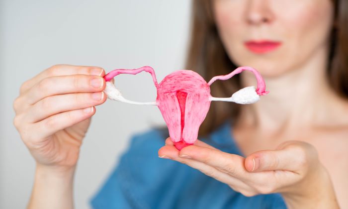 ผนังมดลูกหนา เกิดจากอะไร มีอาการและการรักษาอย่างไร