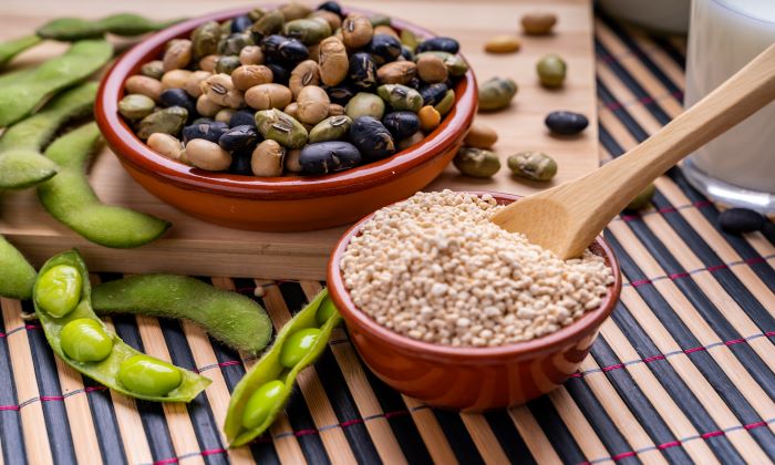 เลซิติน ประโยชน์ และข้อควรระวังในการบริโภค