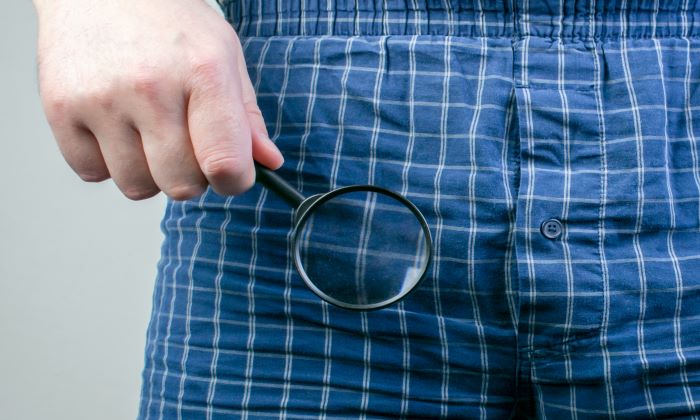 อัณฑะ หน้าที่ และโรคที่ควรระวัง