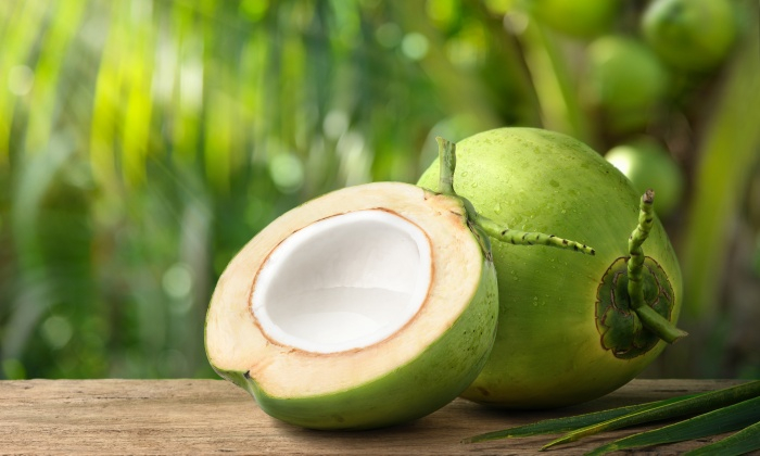 ประโยชน์ของมะพร้าว และข้อควรระวังในการบริโภค