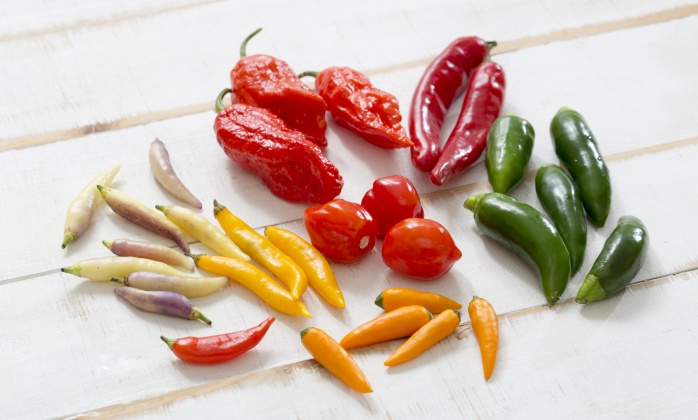 ประโยชน์ของพริก ชนิดต่าง ๆ มีอะไรบ้าง