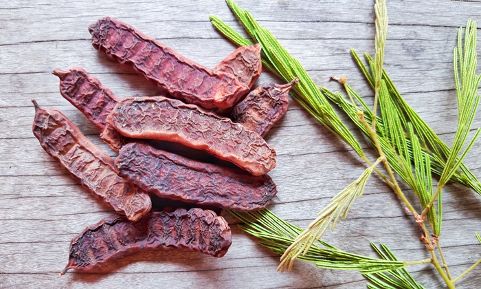 ส้มป่อย สมุนไพรไทยมากประโยชน์ มีสรรพคุณอย่างไรบ้าง