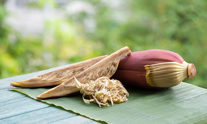 หัวปลี สารอาหารสำคัญ สรรพคุณทางยา และประโยชน์ของหัวปลี