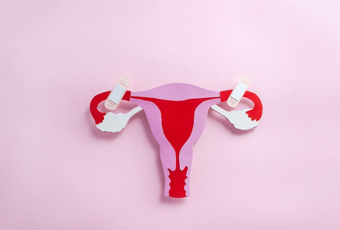 ทำหมัน การคุมกำเนิดถาวร วิธีทำหมันหญิงและทำหมันชาย