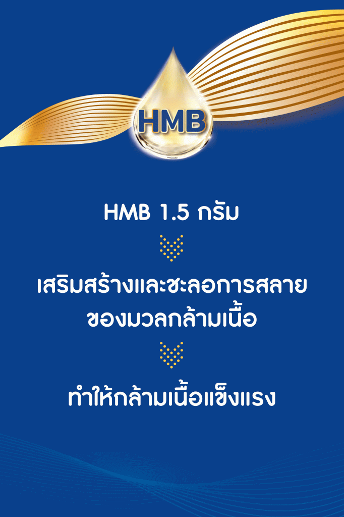 เสริมสร้าง-กล้ามเนื้อ-ภูมิคุ้มกัน-ผู้สูงอายุ