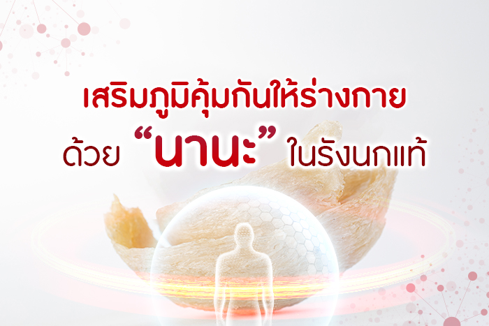 เสริมภูมิคุ้มกันให้ร่างกาย ด้วย “นานะ” ในรังนกแท้