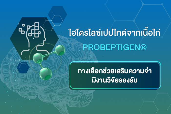 ไฮโดรไลซ์เปปไทด์จากเนื้อไก่ (โปรเบปทิเจน®)*         ทางเลือกเสริมความจำ มีงานวิจัยรองรับ